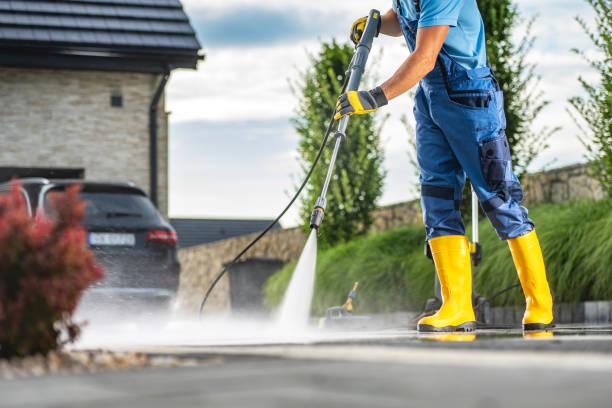 Best Soft Washing  in Shoreacres, TX